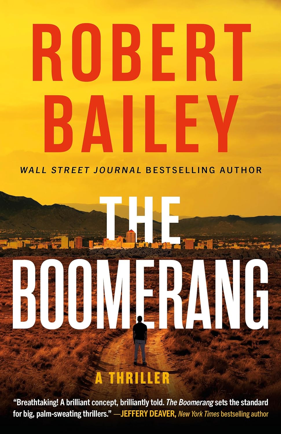 The Boomerang Book Review