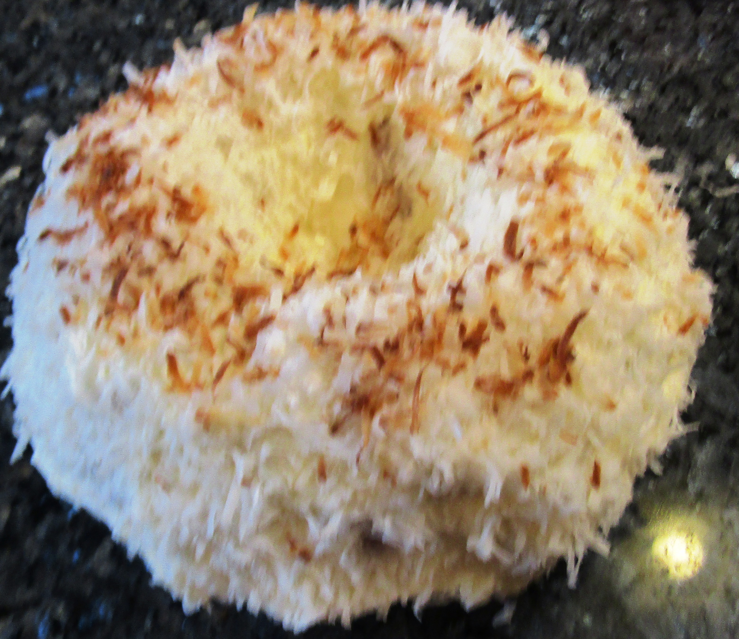 Southern Coconut Bundt Cake Recipe