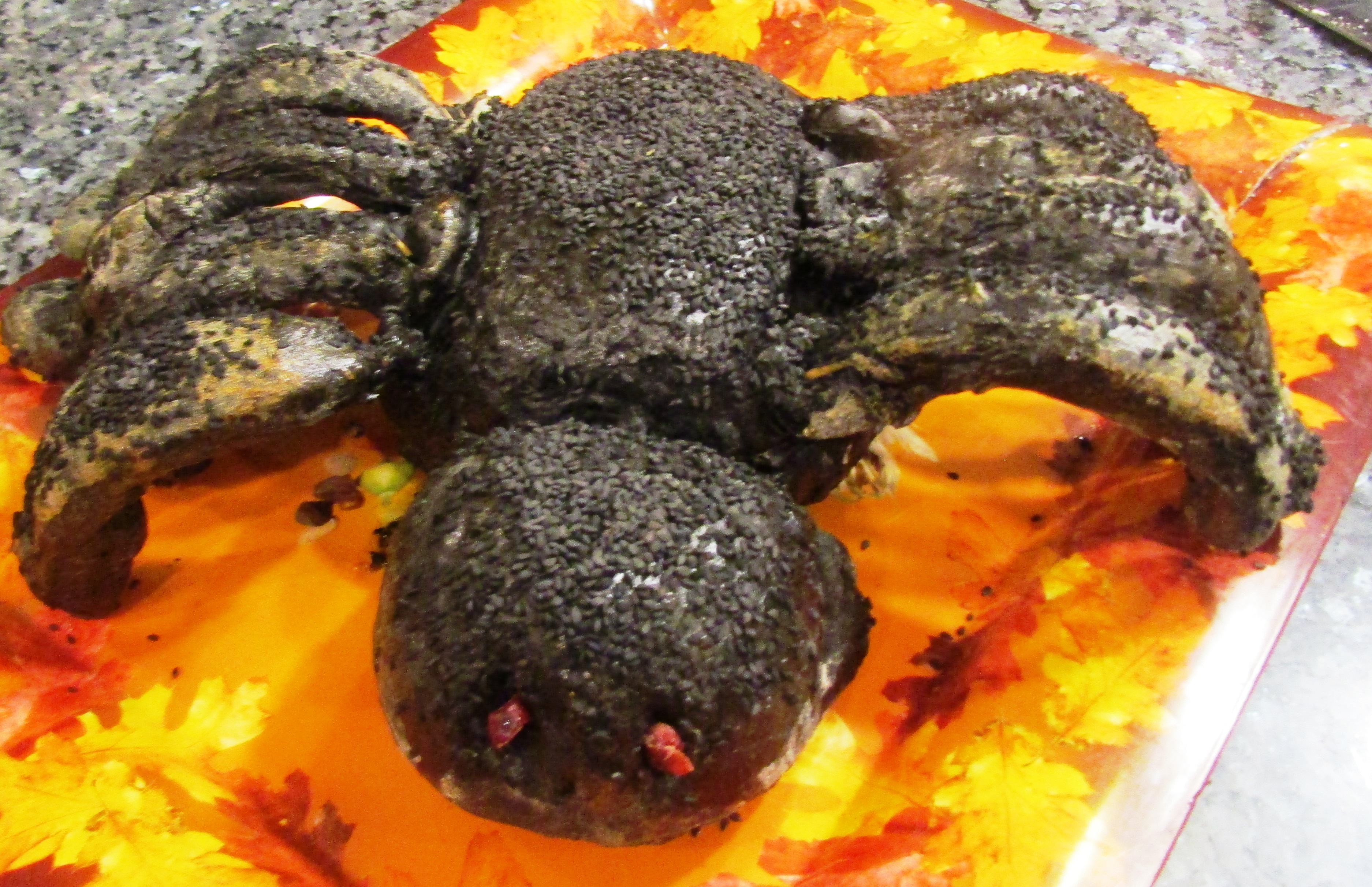 Bake a Scary Halloween Spider!